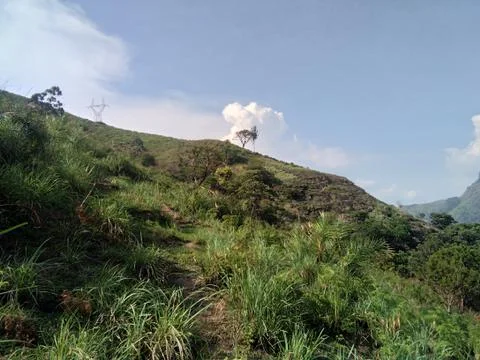 Munnar Landscape 写真素材