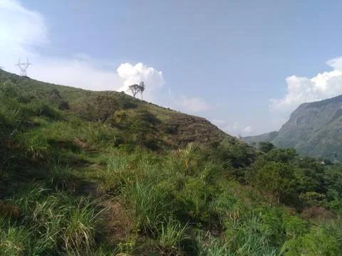 Munnar Landscape Stock Photos