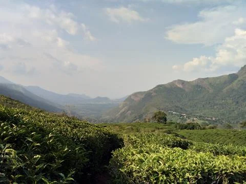 Munnar Landscape Stock Photos