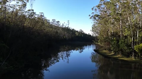 Munnar Old Devikulam Forest River – Scenic Kerala Nature Serene Forest River in Stock-Footage 330846450