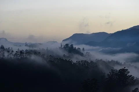 Munnar Foto stock
