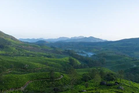 Munnar Stock Photos
