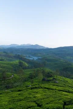 Munnar Stock Photos