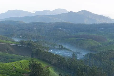 Munnar Stock Photos