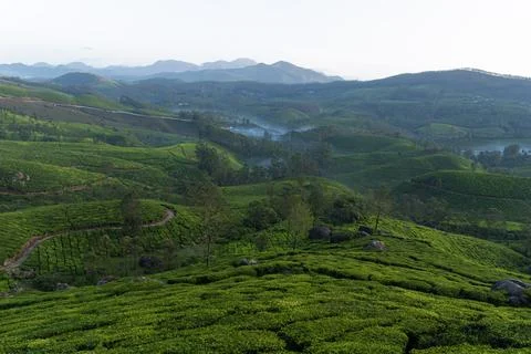 Munnar Stock Photos