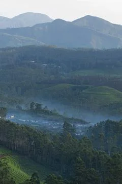 Munnar Stock Photos