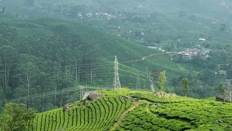 Munnar Stock Photos