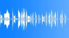 Munster Creaks VariousSound Effect