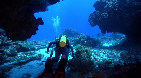 Muppet diver swimming in cavern in Australia, HD, UP20435 Stock Footage 62248755