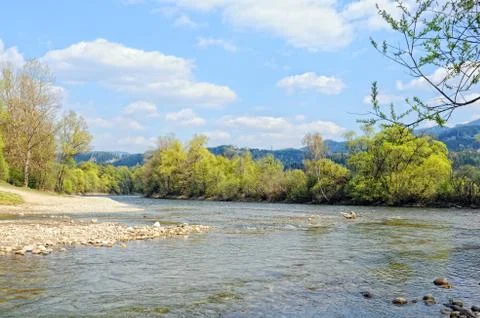 Mur river in styria (Austria). Springtime. Stock Photos