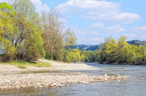 Mur river in styria (Austria). Springtime. Stock Photos