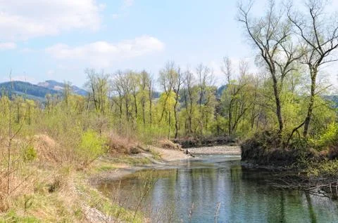 Mur river in styria (Austria). Springtime. European Alps. Stock Photos