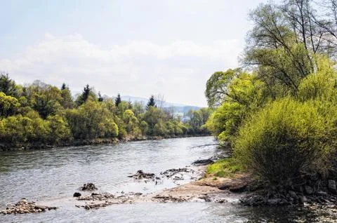 Mur river in styria (Austria). Springtime. Stock Photos