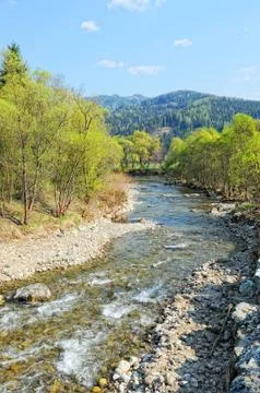 Mur river in styria (Austria). Springtime. Foto stock
