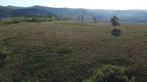 Muradymovskoe gorge Video stock 250155880