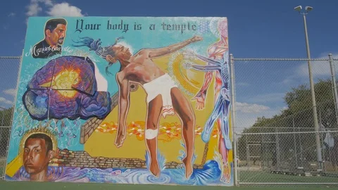 Mural in Escobar Park 動画素材 94226580