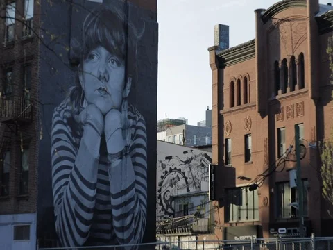 Murales on Building in Williamsburg Stock Footage 75275377