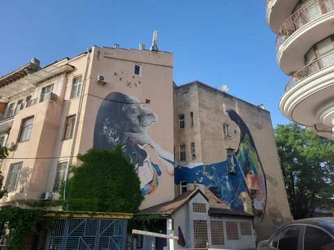 Murals and graffiti Stock Photos