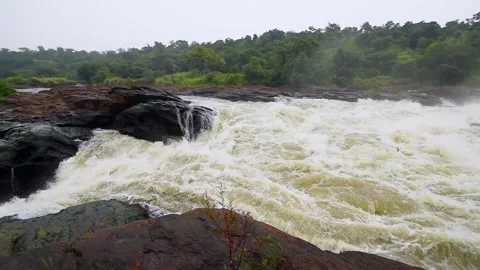 Murchison Falls Rushing Water 4k Video of African River Rapids Stock Footage 338263889