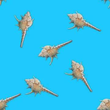 Murex seashells seamless pattern Foto stock