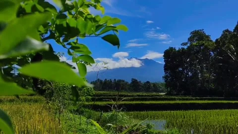 Muria mountain Video stock 244979841