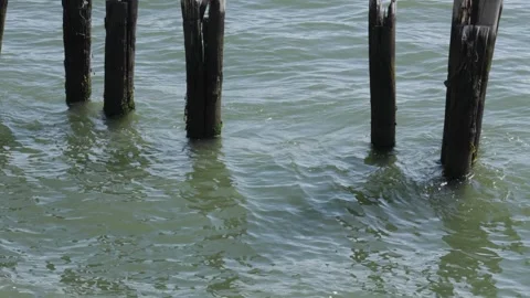 Murkey gray green waves roll against old rotting wood pyles of a long forgot Stock Footage 242308103