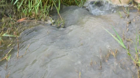 Murky foam mass floating on a small stream of water. 스톡 동영상 316996902
