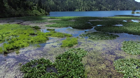 Murky Pond Flyover with Cloud Shadows 스톡 동영상 278254760