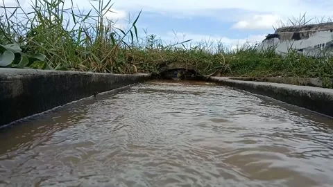 Murky ripples under the gray sky. 库存影片 333802446