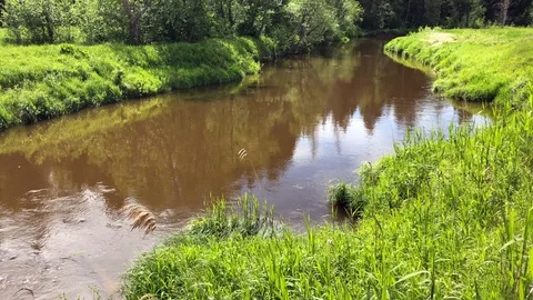 Murky river flowing Stock Footage 90863184
