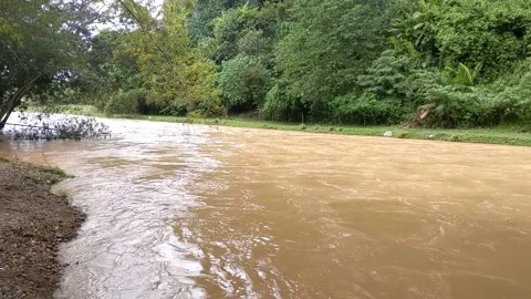 Murky river water after the rain Stock Footage 147362408