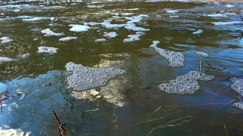 Murky river water Stock Footage 74801350