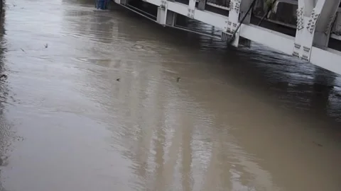 Murky river water Stock Footage 301245309