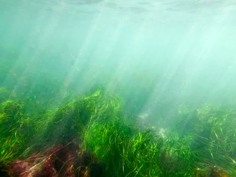Murky sea Stock Photos