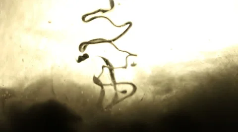 Murky Tar Water Background Stock-Footage 62793881
