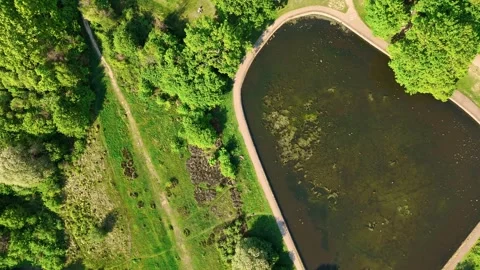 Murky Triangular Pond Birds Eye Moving Down Drone Shot Stock Footage 308400352