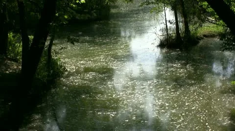 Murky Water Stock-Footage 9986720