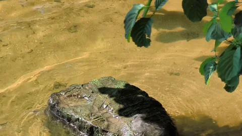 Murky water rippling over a rock in a reservoir lake 库存影片 341005148