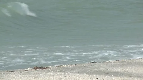 Murky waves 스톡 동영상 7746393