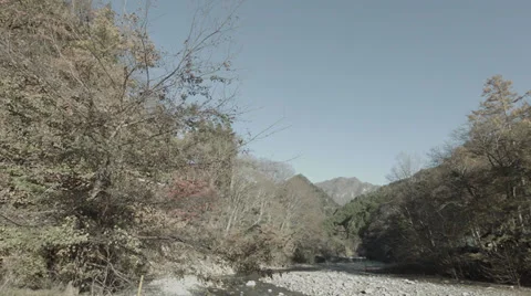 The murmur of the brook 스톡 동영상 38125428