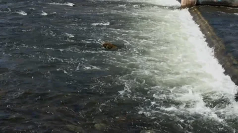 Murmur of water in the river 스톡 동영상 37753574