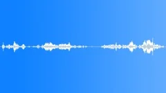 Murmur_AdolesentGirls Sound Effect