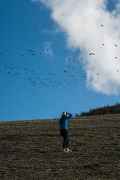 Murmuration Stock Photos