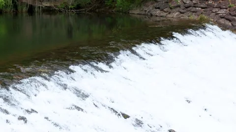 Murmuring of a river Stock Footage 241123571