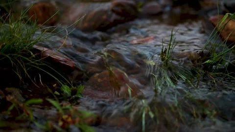 A murmuring stream of clear water flows over the stones, Stock Footage 169713248