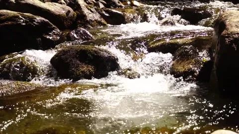 Murmuring stream in a hot summer day Stock Footage 139652237