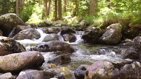 Murmuring stream in a mystic forest Stock Footage 139752533