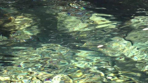 The murmuring of the thaw water in early spring Stock Footage 144591840