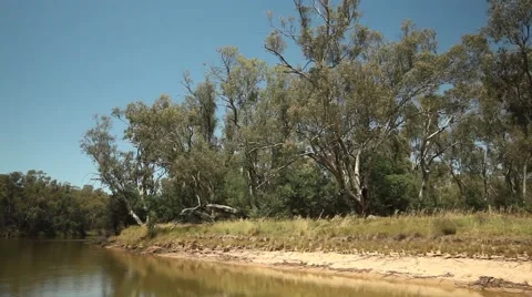 Murray River Australia 16 Stock Footage 45156381