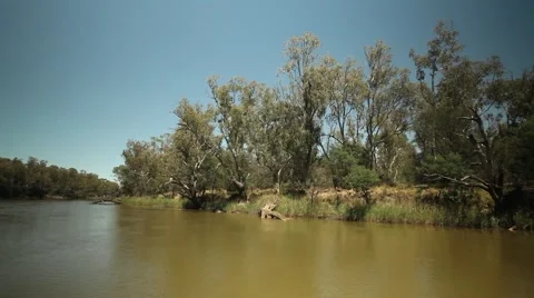 Murray River Australia 20 스톡 동영상 45157681